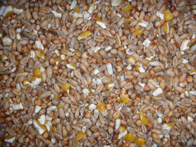 Fasanenfutter