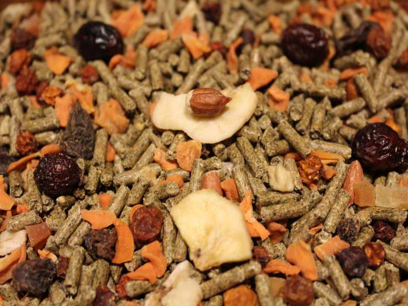 Chinchillafutter C1
