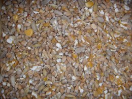 6 - Kornmischung