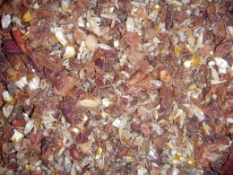 Fruchtmix mit Kräuter + Hafer