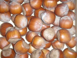 Haseln__sse_in_S_5107e72f6e846.jpg