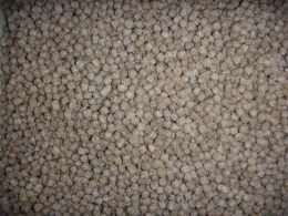 Karpfenfutter_sc_4a338a32c39d2.jpg