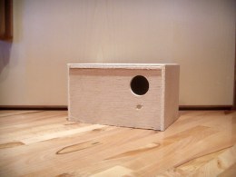 Nistkasten_4b82c1da27dad.jpg