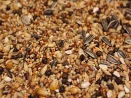 Taubenfutter Riki ohne Erbsen